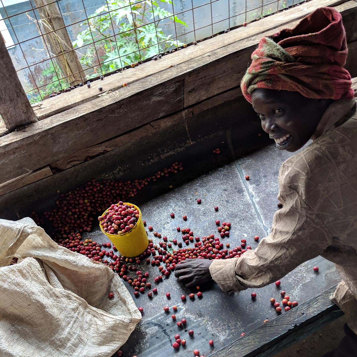 SAMYJU x KENYA