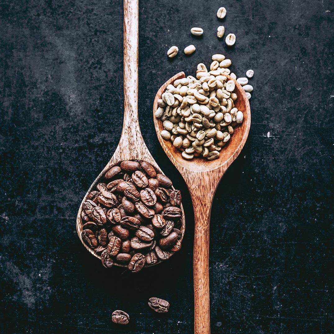 SAMYJU's Coffee Paradise